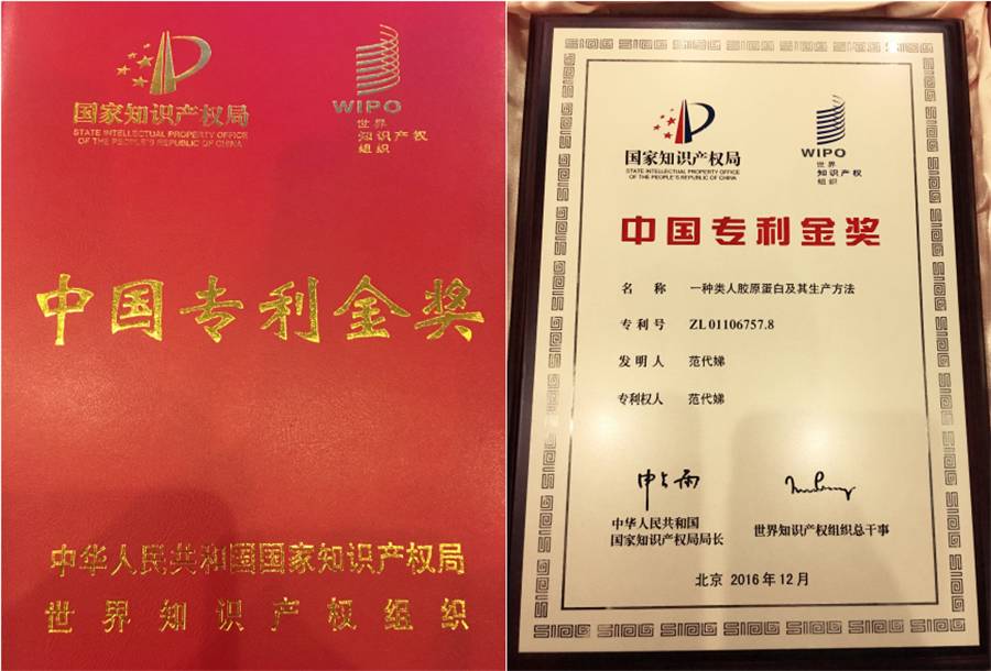 快Zl人口_人口老龄化(2)